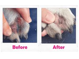 Klovena PawPrep - Paw Cleaner 🧼 CP